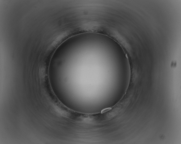 X0000093380113200710111503