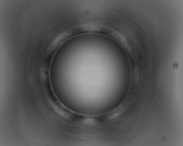 X0000093380114200710111503