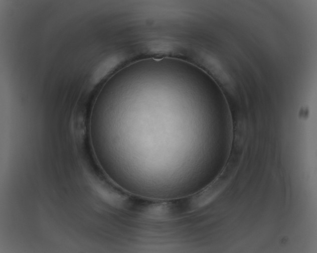 X0000093380116200710111503