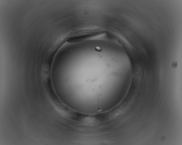 X0000093380119200710111503