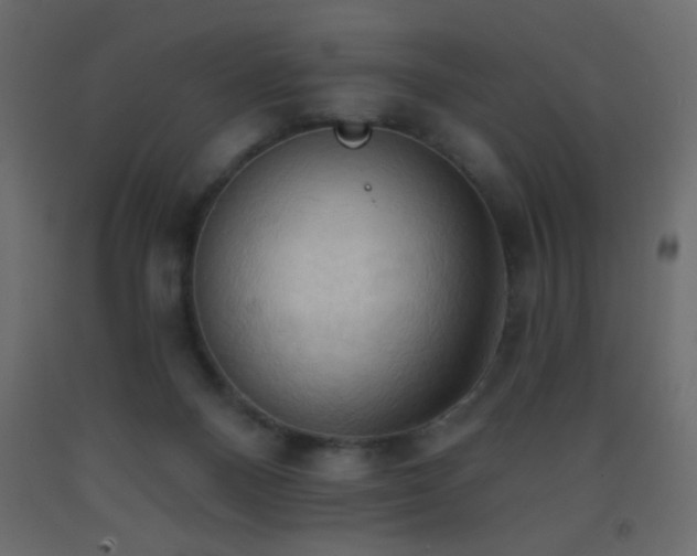 X0000093380120200710111503