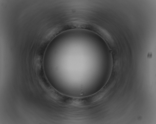 X0000093380121200710111503