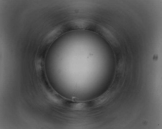 X0000093380122200710111503