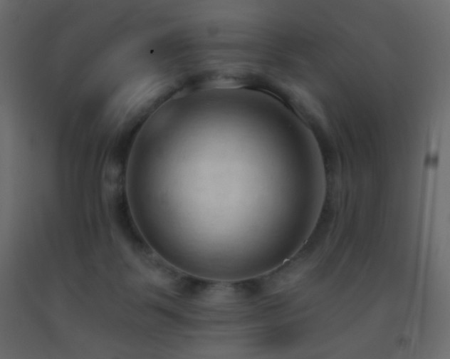 X0000093380123200710111503