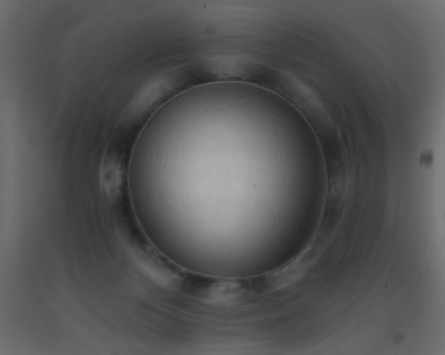 X0000093380124200710111503
