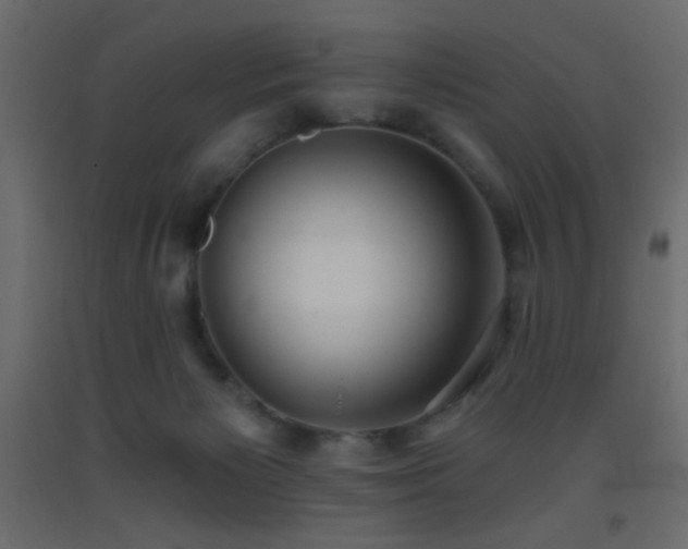 X0000093380125200710111503