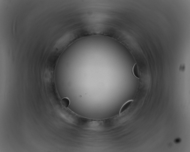 X0000093380126200710111503