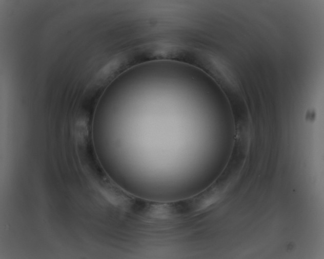 X0000093380127200710111503