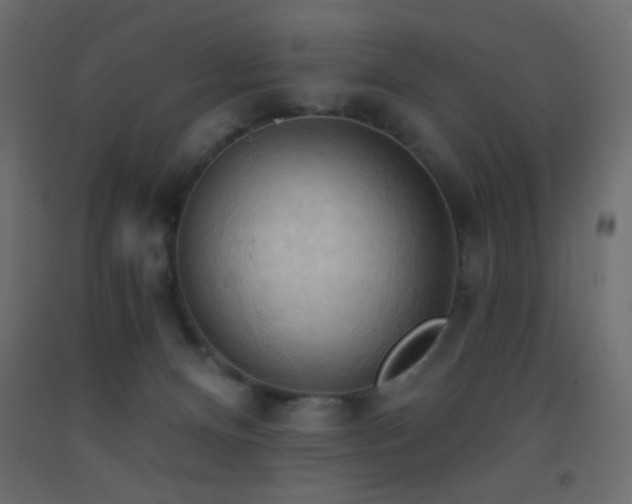 X0000093380128200710111503