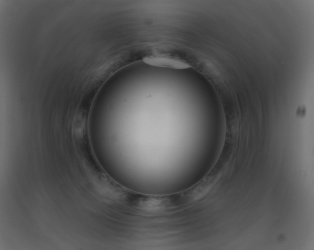 X0000093380129200710111503