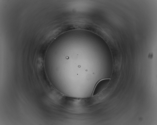 X0000093380130200710111503