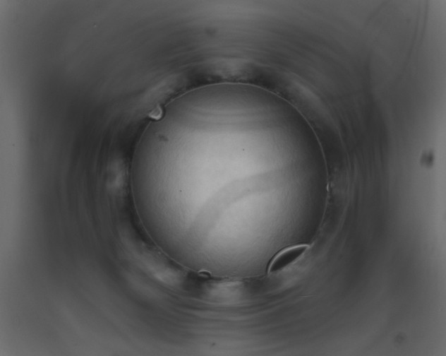 X0000093380132200710111503