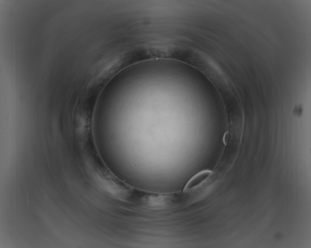 X0000093380134200710111503