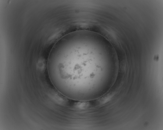 X0000093380135200710111503