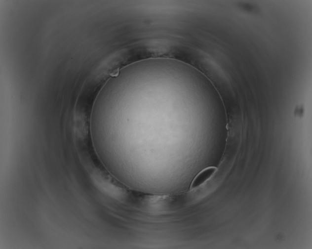 X0000093380136200710111503