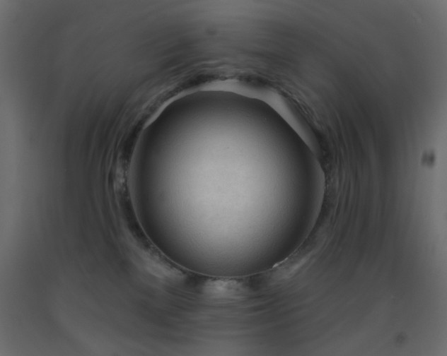 X0000093380137200710111503