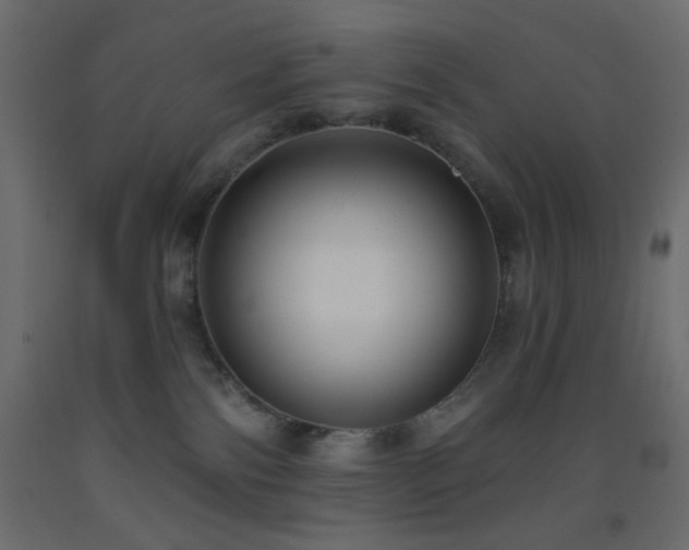 X0000093380138200710111503