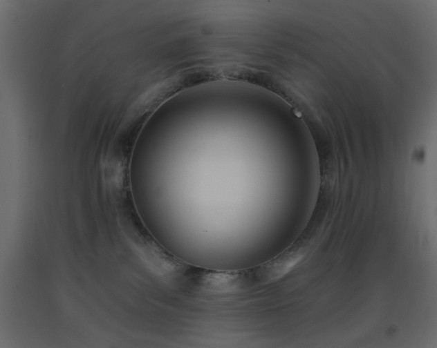 X0000093380139200710111503