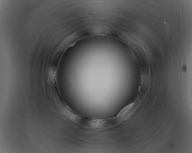 X0000093380142200710111503