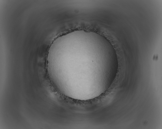 X0000093380144200710111503
