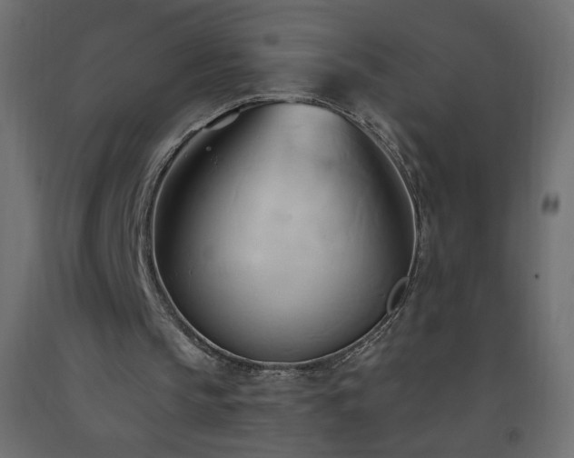 X0000093380145200710111502