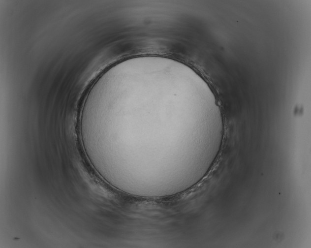 X0000093380146200710111502
