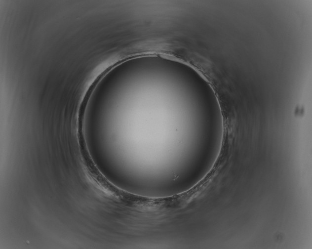 X0000093380148200710111502