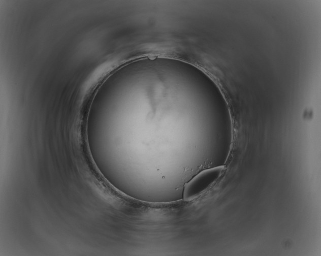 X0000093380149200710111502