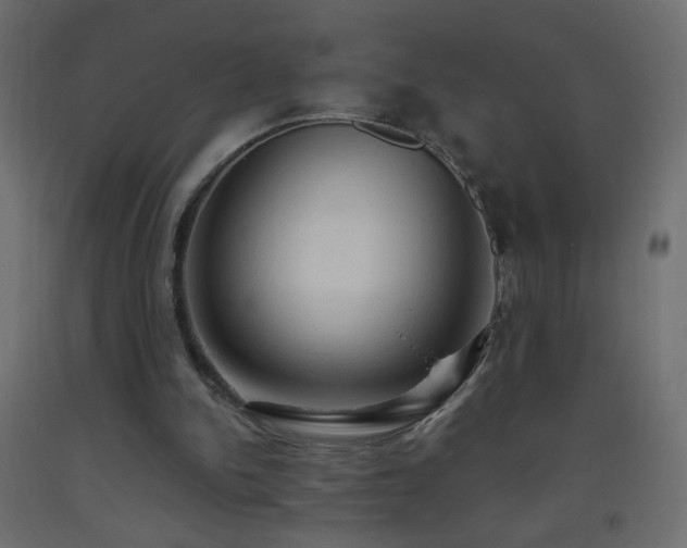 X0000093380150200710111502