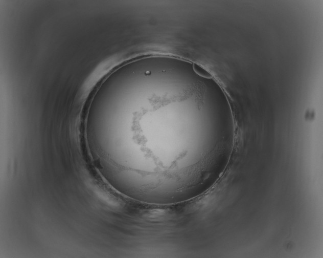 X0000093380151200710111502