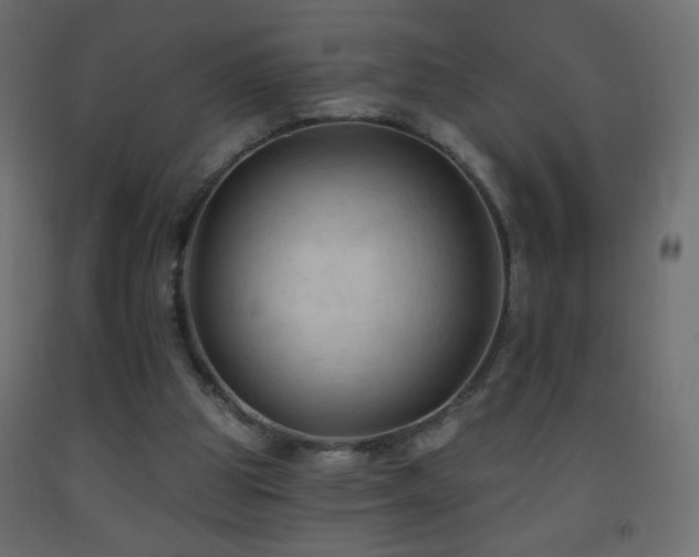 X0000093380153200710111502