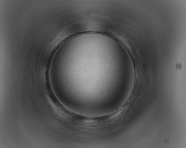 X0000093380154200710111502