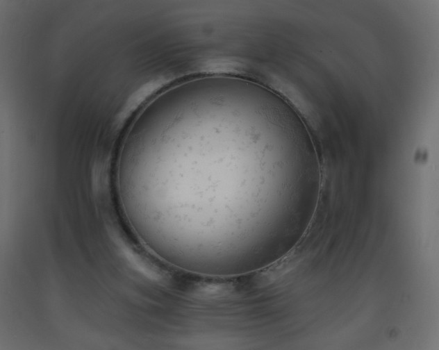 X0000093380155200710111502