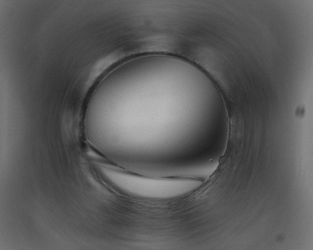 X0000093380156200710111502