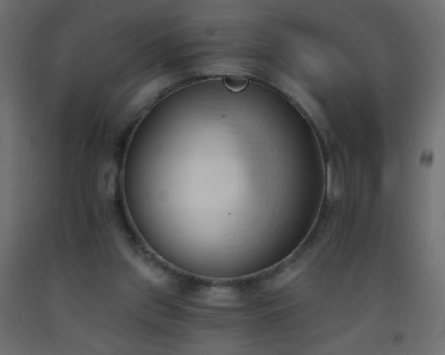 X0000093380157200710111502