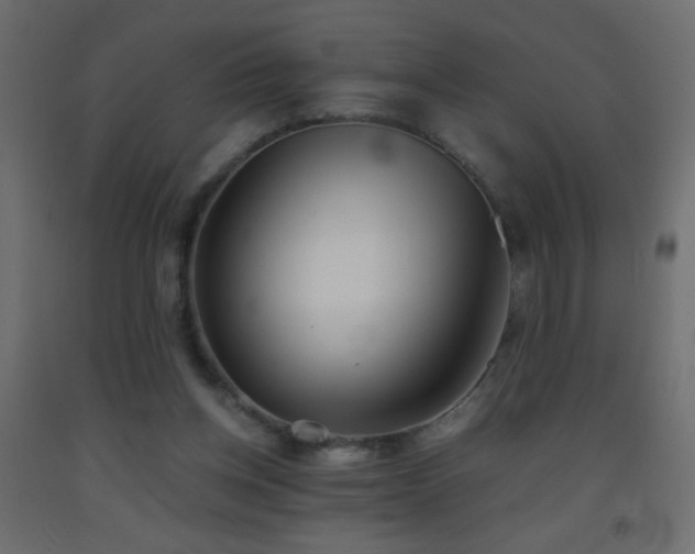 X0000093380158200710111502