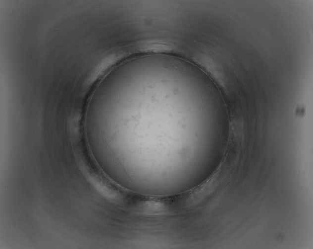 X0000093380159200710111502