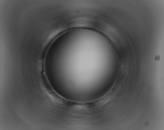 X0000093380160200710111502