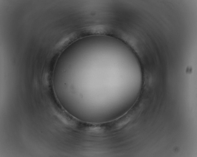 X0000093380161200710111502