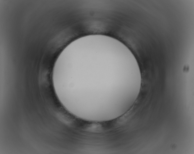 X0000093380162200710111502