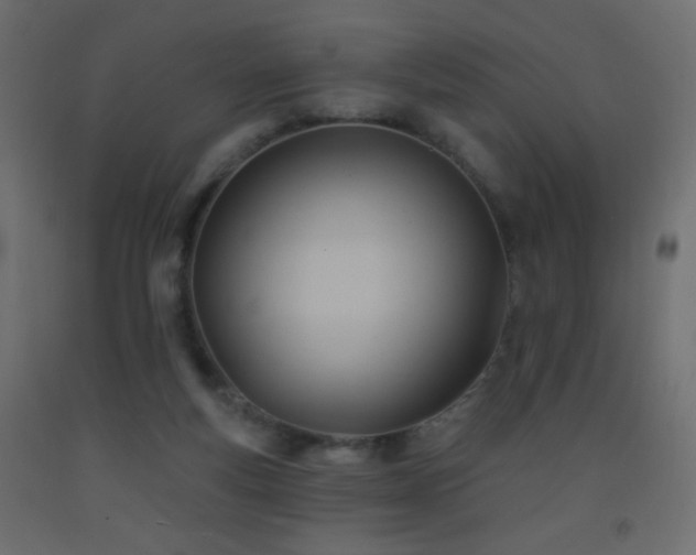 X0000093380163200710111502