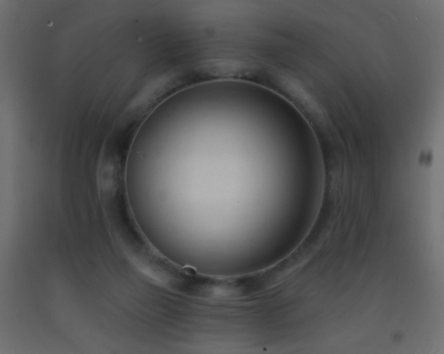 X0000093380165200710111502