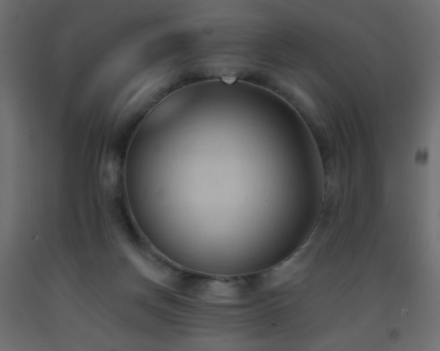 X0000093380166200710111502