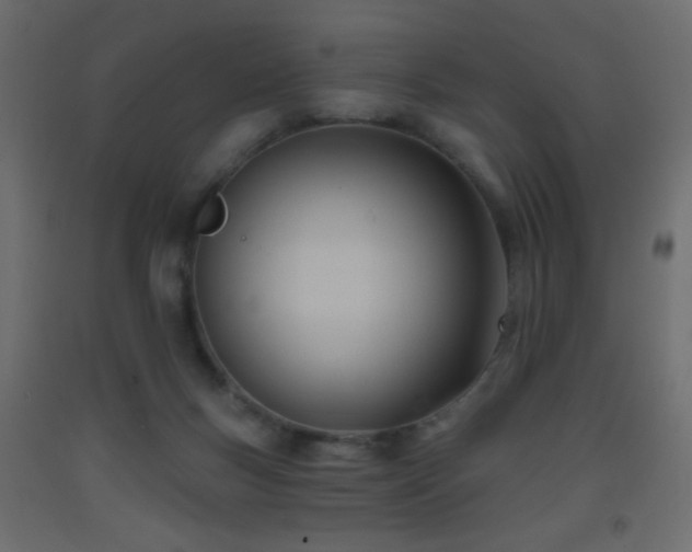 X0000093380167200710111502