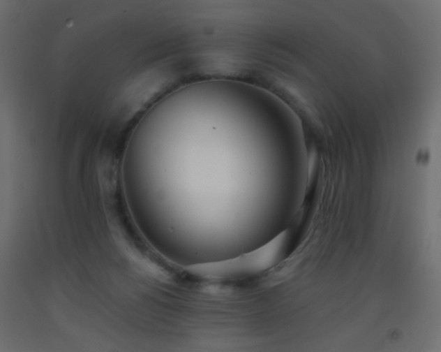 X0000093380168200710111502