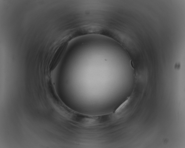 X0000093380170200710111503