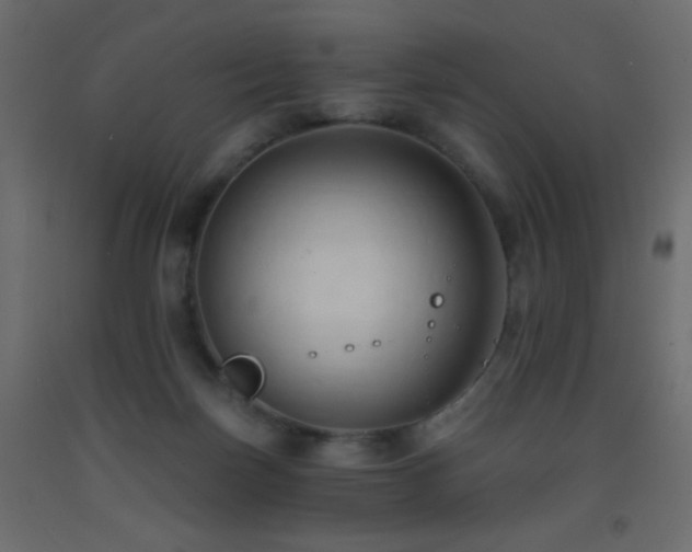 X0000093380171200710111503
