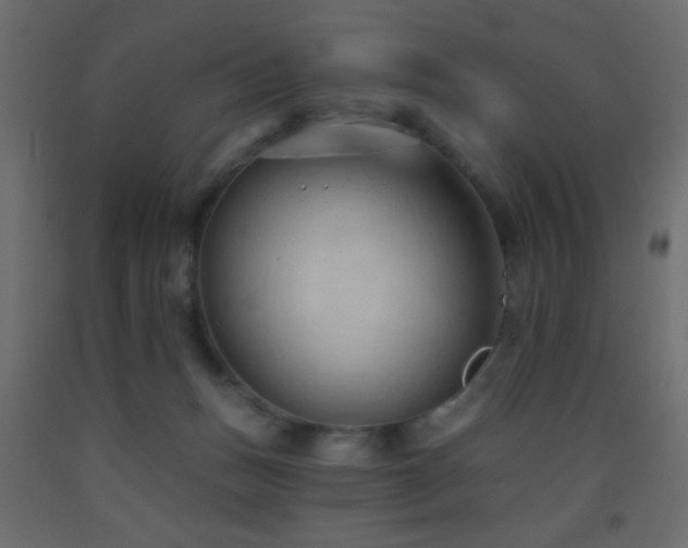 X0000093380175200710111503