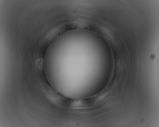 X0000093380177200710111503