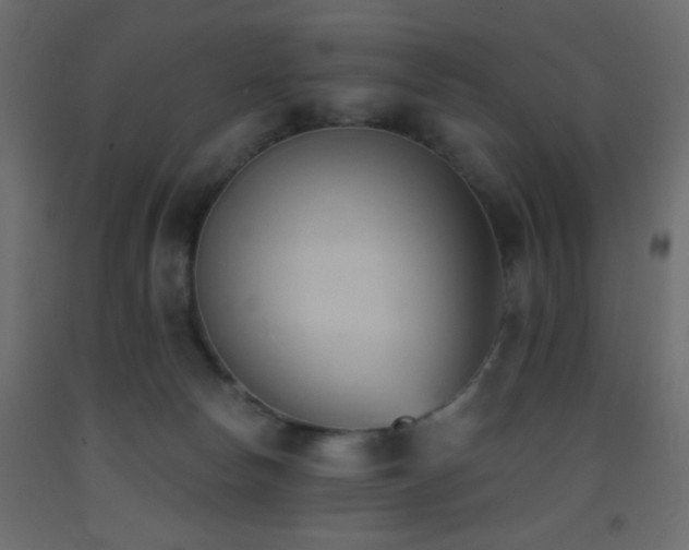 X0000093380178200710111503